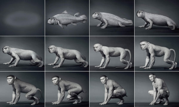 Evil-ution from Fish to Monkey to Man: from Tuna to Gator to Monkey to SuperModel, makes sesnse to me! NOT