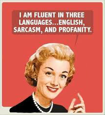 Speak 3 Languages: English, Sarcasm, Profanity